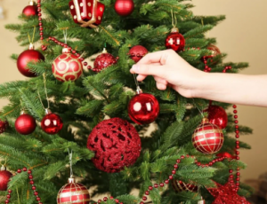 Как правильно купить и украсить новогоднюю елку