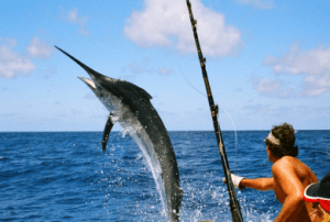 Незабываемая рыбалка на Бали